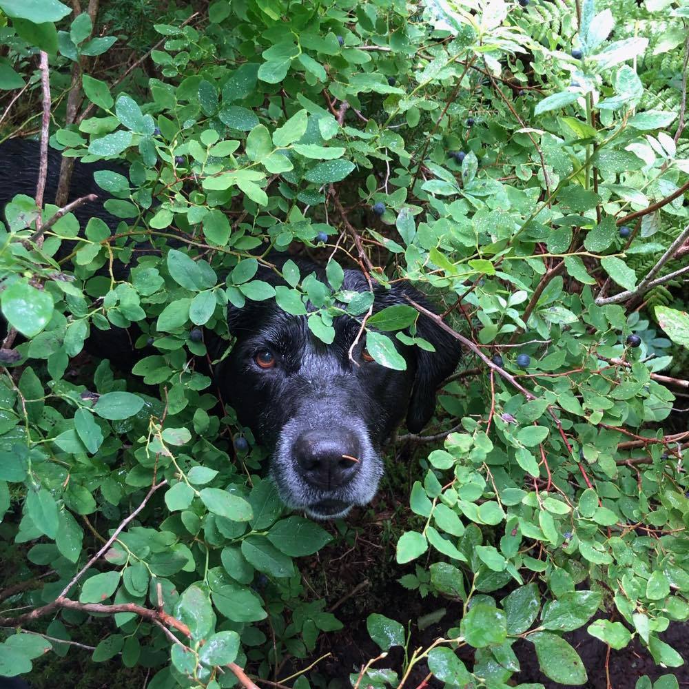 Meet your Posher, Marie